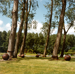 Trees tied down with iron balls