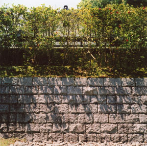 The stone walls at Honbu
