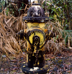 Mold-encrusted fire hydrant