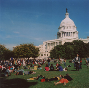 Capitol Lawn