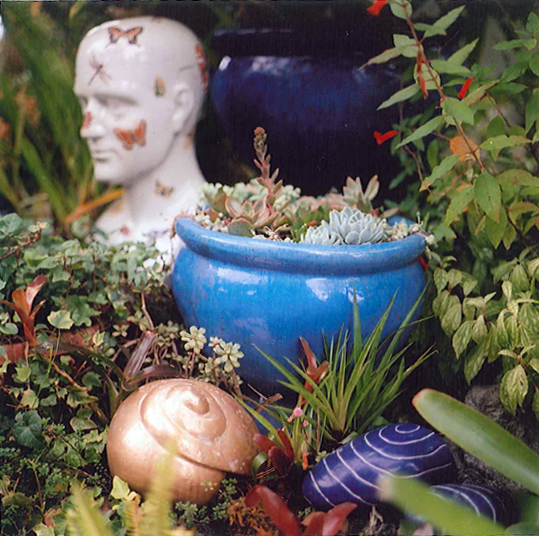 A blue planter and many plants surrounding it