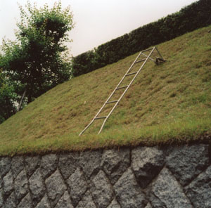 Angled Ladder