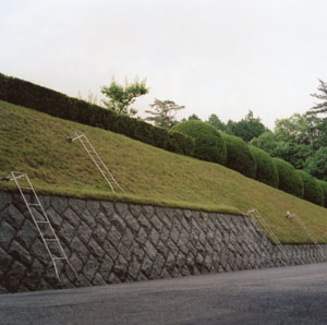 Angled Ladders