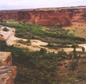 Canyon de Chelly