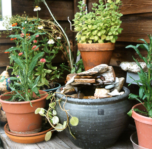 A small fountain near their door