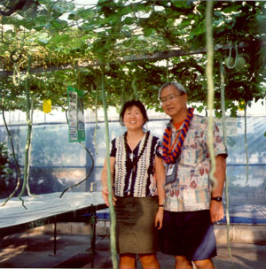 At the Goya hydroponic farm