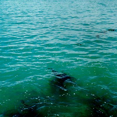 and the Spirit of God was hovering over the waters.