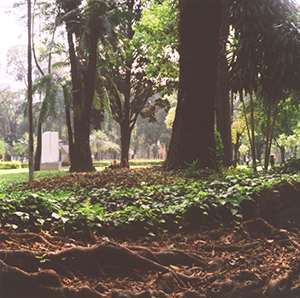 Urban Park in Sao Paulo