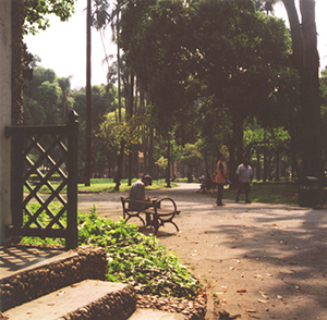 Urban Park in Sao Paulo