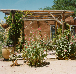 On the east side of the visitor's center