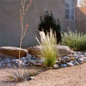 Xeriscape can be beautiful