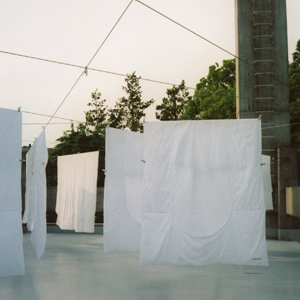 Drying Sheets