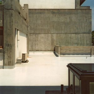 Sunny Roof