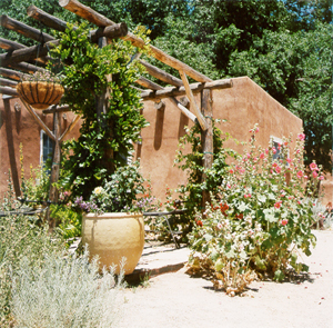 On the east side of the visitor's center